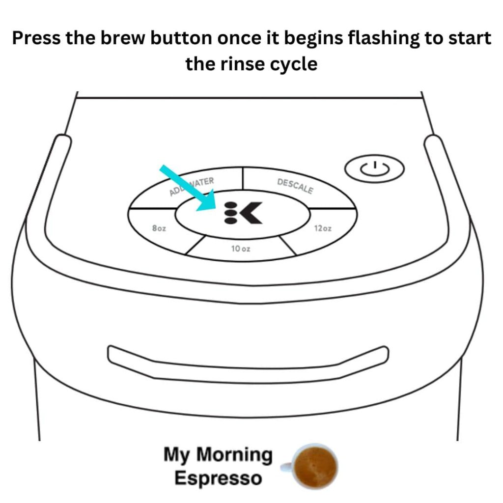 Press the brew button once it begins flashing to start the post descaling rinse cycle